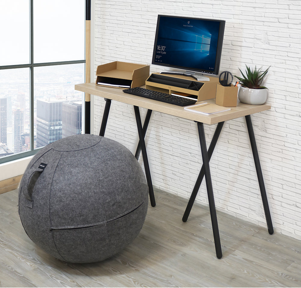 ERGO SPHERE assise ergonomique gris